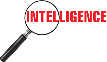 Corporate Intelligence Services